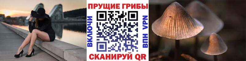 Галлюциногенные грибы MAGIC MUSHROOMS  Купить  Юрюзань 
