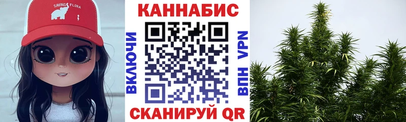 Купить закладки  Юрюзань  Марихуана сатива 